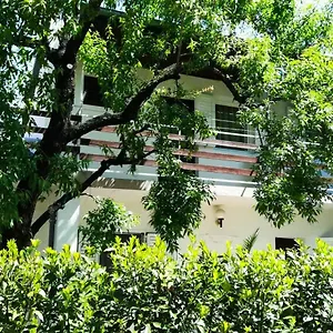  Apartman Felix Biograd